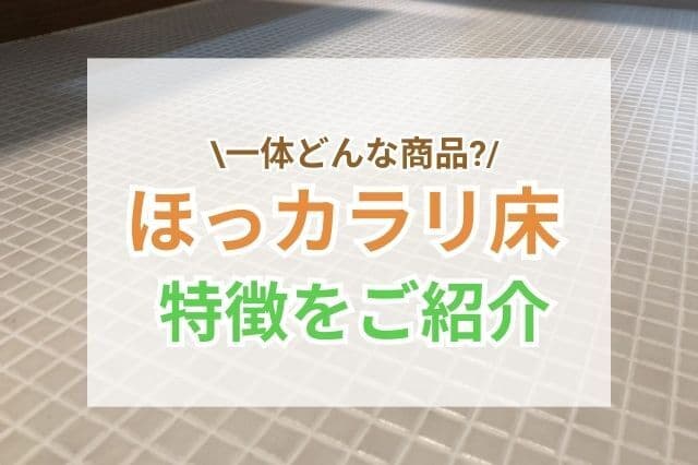 ほっカラリ床のメリット・デメリット!気になる口コミや掃除方法も徹底解説
