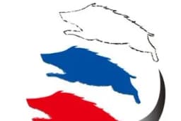 株式会社真規のロゴ画像