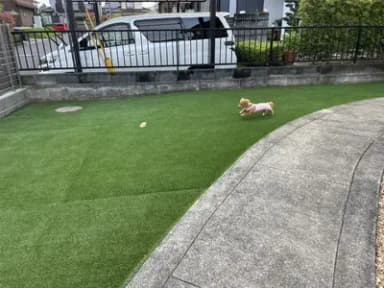 わんちゃんのためのお庭つくり
