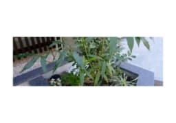 株式会社Garden office Terraのロゴ画像