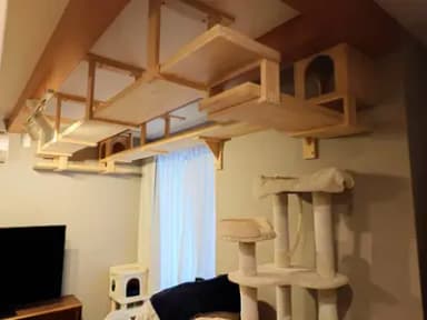 猫ちゃんの遊べるキャットウォーク
