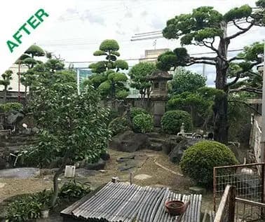 雑草を剪除し日本庭園の美しさを取り戻す剪定